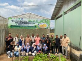 UNUGHA Cilacap Laksanakan Monev Internal Program PKM Penerapan Teknologi Greenhouse di Banyumas