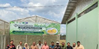 UNUGHA Cilacap Laksanakan Monev Internal Program PKM Penerapan Teknologi Greenhouse di Banyumas